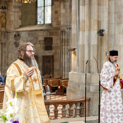 Priesterweihe Byzantinischer Ritus im Stephansdom / Erzdiözese Wien/ Schönlaub