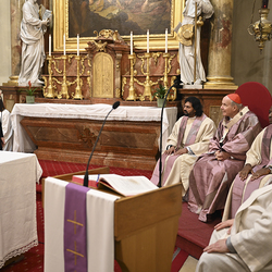25 Jahre Stadterhebung Gerasdorf / www.markus-goestl.at