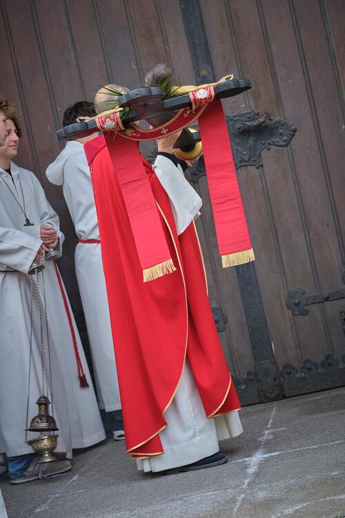 Palmsonntag Pfarre Heilige Mutter Teresa / Erzdiözese Wien/Feuchtner