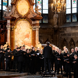 2025 Karfreitag / Erzdiözese Wien/Schönlaub