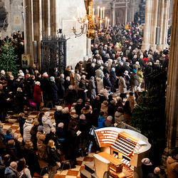Stephanifest / Erzdiözese Wien/Schönlaub, Stephan Schönlaub