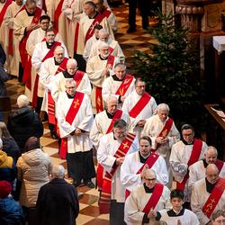 Stephanifest / Erzdiözese Wien/Schönlaub, Stephan Schönlaub
