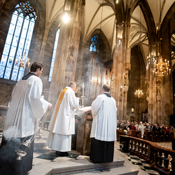 2025 Gründonnerstag / Erzdiözese Wien/Schönlaub, Stephan Schönlaub
