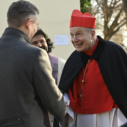 25 Jahre Stadterhebung Gerasdorf / www.markus-goestl.at