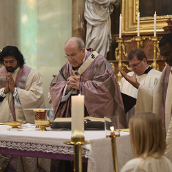 25 Jahre Stadterhebung Gerasdorf / www.markus-goestl.at
