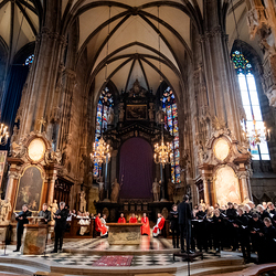 2025 Karfreitag / Erzdiözese Wien/Schönlaub