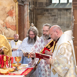 Priesterweihe Byzantinischer Ritus im Stephansdom / Erzdiözese Wien/ Schönlaub