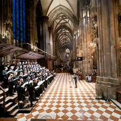 2025 Gründonnerstag / Erzdiözese Wien/Schönlaub, Stephan Schönlaub